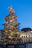 Weihnachtsbaum,  Sechselaeuten Platz ,Opernhaus, Zürich, Schweiz