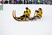 traditional sled race, Waldau, Titisee-Neustadt, Black Forest, Baden-Wuerttemberg, Germany