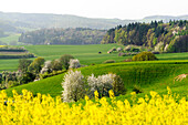 Landschaft im Frühling im nordwestlichen Odenwald, Hessen, Deutschland