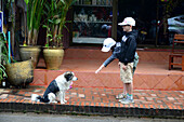 Kinder und Hund in Luang Prabang, Laos, Asien