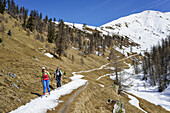 Two persons back-country skiing downhill from Piz Uter on small band of snow over snowfree meadows, Piz Uter, Livigno Alps, Engadin, Grisons, Switzerland