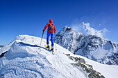 Woman back-country skiing ascending towards Punta Tre Chiosis, in the background Monte Viso, Punta Tre Chiosis, Valle Varaita, Cottian Alps, Piedmont, Italy