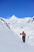 Frau auf Skitour steigt zum Monte Cevedale auf, Königsspitze im Hintergrund, Monte Cevedale, Martelltal, Ortlergruppe, Südtirol, Italien