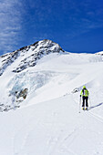 Frau auf Skitour steigt zum Pizzo Tresero auf, Pizzo Tresero, Val dei Forni, Ortlergruppe, Lombardei, Italien