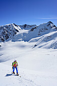 Frau auf Skitour steigt zur Punta San Matteo auf, Punta Taviela und Punta Cadini im Hintergrund, Punta San Matteo, Val dei Forni, Ortlergruppe, Lombardei, Italien