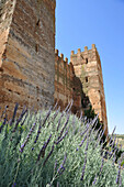 Blühender Lavendel am Fuss der alten Befestigung in Banos de la Encina, Andalusien, Spanien