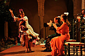 Flamenco show in the Palacio Episcopal de Cordoba next to the Mezquita in the evening, Cordoba, Andalusia, Spain