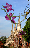 Wat Phra Sri Sanphet, old Royal Palace in the ancient city of Ayutthaya, Thailand