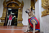 Wat Chiang Man, Chiang Mai, Nord-Thailand, Thailand