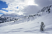 Winter mood at Munt Buffalora, Munt Buffalora, Ofenpass, Sesvenna range, Engadin, Grisons, Switzerland