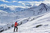 Woman back-country skiing ascending towards Schafsiedel, Kroendlhorn in background, Schafsiedel, Kurzer Grund, Kitzbuehel range, Tyrol, Austria
