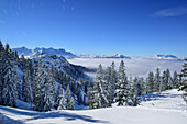 Winterwald am Sonntagshorn, Berchtesgadener Alpen im Hintergrund, Sonntagshorn, Chiemgauer Alpen, Salzburg, Österreich