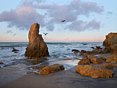 Sea stack with gulls, El Matador State Beach, California