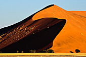 Sand dune, Namib Desert, Namibia