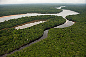 Essequibo River, Iwokrama Rainforest Reserve, Guyana