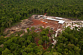 Low impact logging in rainforest, Iwokrama Rainforest Reserve, Guyana