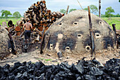 Charcoal kilns in unprotected forest is one of the main threats to habitat, Pantanal, Brazil