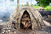 Charcoal kilns in unprotected forest is one of the main threats to habitat, Pantanal, Brazil