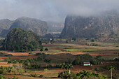 Agricultural fields in Vinales Valley, Sierra del Rosario, Pinar del Rio, Cuba