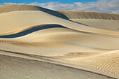 Sand dunes sculpted by wind, Cactus Beach, South Australia, Australia