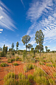 Cirrus and cumulus clouds over desert, Uluru-kata Tjuta National Park, Northern Territory, Australia