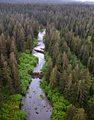 Stream and boreal forest, Tongass National Forest, Yakutat, Alaska