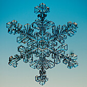 Snowflake seen through microscope