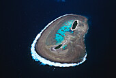 Coral reef, Hoskyns Islands, Capricornia Cays National Park, Great Barrier Reef, Queensland, Australia