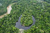 Tiputini River and oxbow lake in rainforest, Yasuni National Park, Amazon, Ecuador