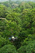 Octocopter used for canopy research, Yasuni National Park, Amazon, Ecuador