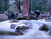 Merced River, Yosemite National Park, California