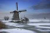 Windmills of Kinderdijk, Kinderdijk, Netherlands