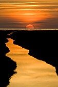 Ditch near the Waddensee, Ferwert, Netherlands