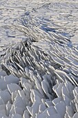 Patterns in drifting ice on the Markermeer, Lelystad, Netherlands