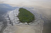 Norderoog Island is an important bird rookery, Germany