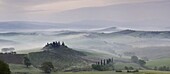 Foggy landscape with vineyards, Val d'Orcia, Italy