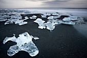 Chunks of ice on coastline near Jokulsarlon, Iceland