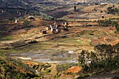 Rice (Oryza sativa) terraces and villages in highlands, Madagascar