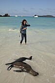 Galapagos Sea Lion (Zalophus wollebaeki) pair relaxing in surf with young tourist, Fernandina Island, Galapagos Islands, Ecuador