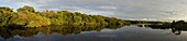 Flooded forest, Amazon River, Rio Negro, Brazil