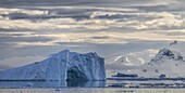 Iceberg and coast, Gerlache Strait, Anvers Island, Antarctic Peninsula, Antarctica