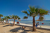Sandy beach with palm trees, Ayia Thekla Beach near Ayia Napa northeast of Larnaca, Larnaca District, Cyprus