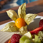 Physalis, Fruchtsalat an der Pool Bar im Le Meridien Hotel, Limassol, Limassol District, Zypern