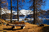 Bench at Lake Sils with Isola on the opposite shore, Engadin, Grisons, Switzerland