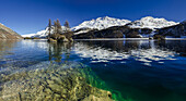 Silsersee mit Seegrund und  kleiner Insel nahe Plaun da Lej und Isola am gegenüberliegenden Ufer, Engadin, Graubünden, Schweiz
