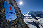 Calanda Zapfhahn im Klettersteig am Piz Trovat mit Blick auf Piz Palü (3905 m) und Persgletscher, Engadin, Graubünden, Schweiz