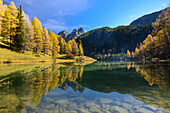 Golden larches at lake Palpuogna (1918 m) with Piz da la Blais (2930 m), Grisons, Switzerland