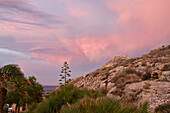 Rosa gefärbte Wolken bei stürmischem Wetter und Sonnenuntergang über der felsigen Küste am Cabo de Gata  in der Provinz Almeria, Andalusien, Spanien