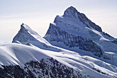 Das Finsteraarhorn mit dem kleineren Nachbarn namens Agassizhorn, Berner Alpen, Kantone Wallis und Bern, Schweiz