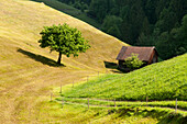 Ein Stall in der Nähe des Dorfs Sool, Glarner Alpen, Kanton Glarus, Schweiz